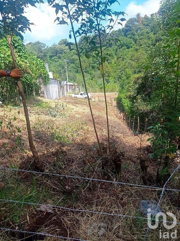 TERRENO EN VENTA HUAUCHINANGO