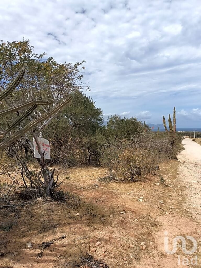 TERRENO VISTA AL MAR EN TURQUESA