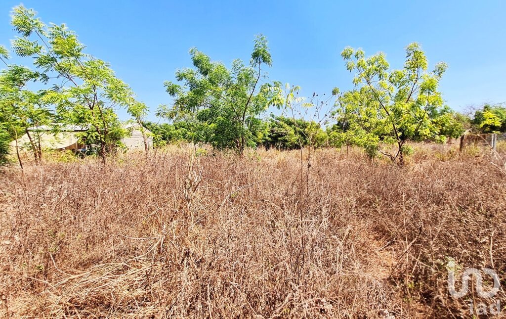 LOTE EN VENTA, BARRA DE COLOTEPEC, PUERTO ESCONDIDO
