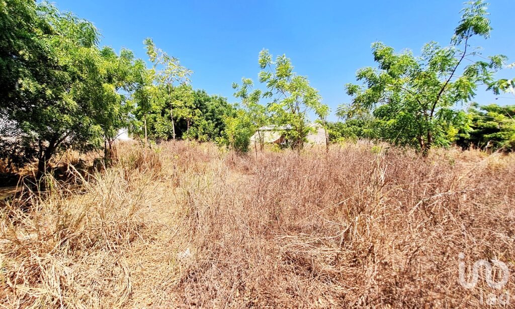 LOTE EN VENTA, BARRA DE COLOTEPEC, PUERTO ESCONDIDO