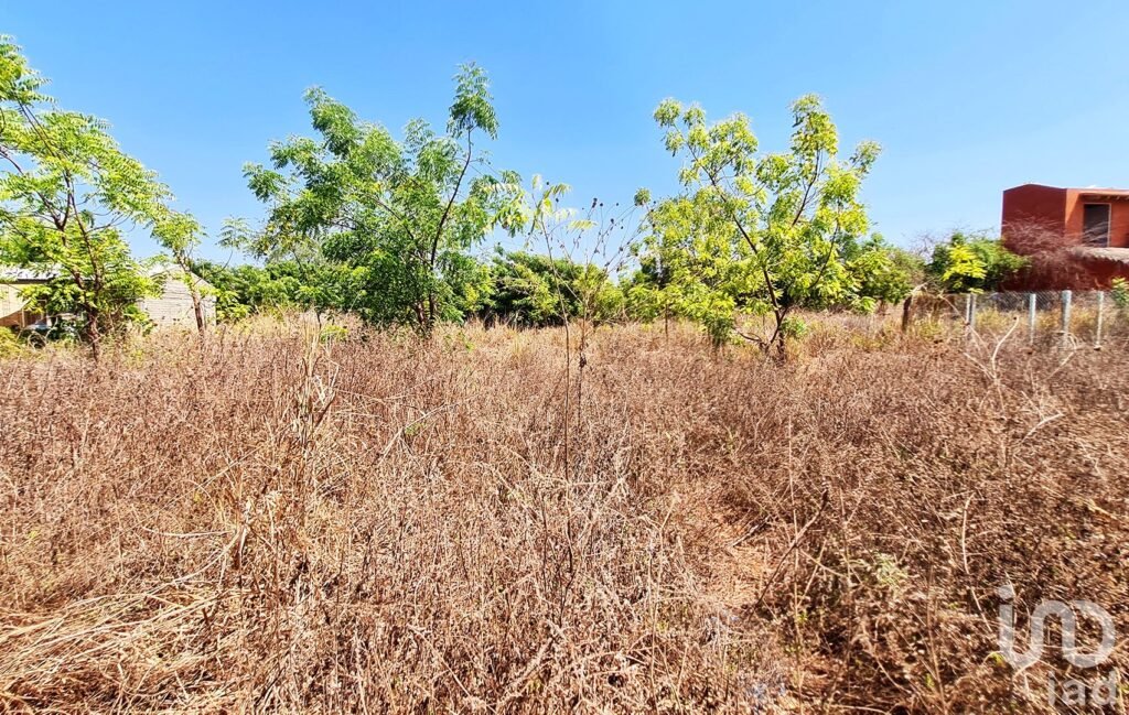TERRENO EN VENTA, BARRA DE COLOTEPEC, PUERTO ESCONDIDO