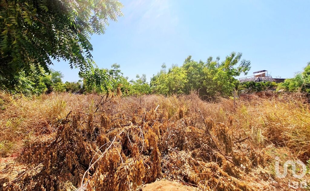LOTE EN VENTA, BARRA DE COLOTEPEC, PUERTO ESCONDIDO