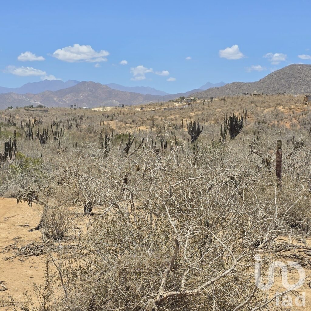 LOTE EN CERRITOS PESCADERO CON VISTA AL MAR
