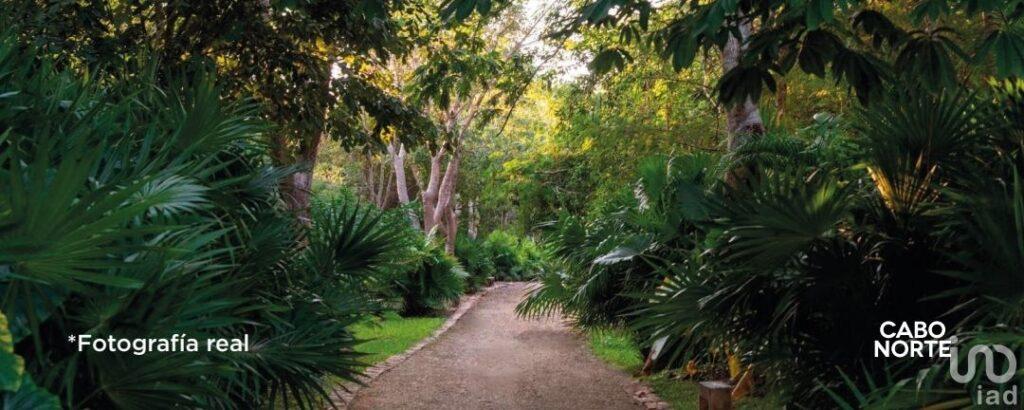 Venta de Penthouse en Cabo Norte, Mérida, Yucatán.