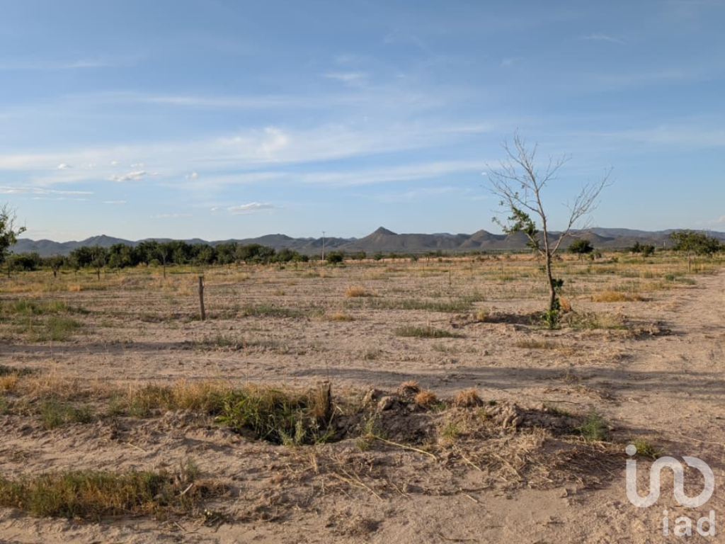 Rancho en producción en Parras