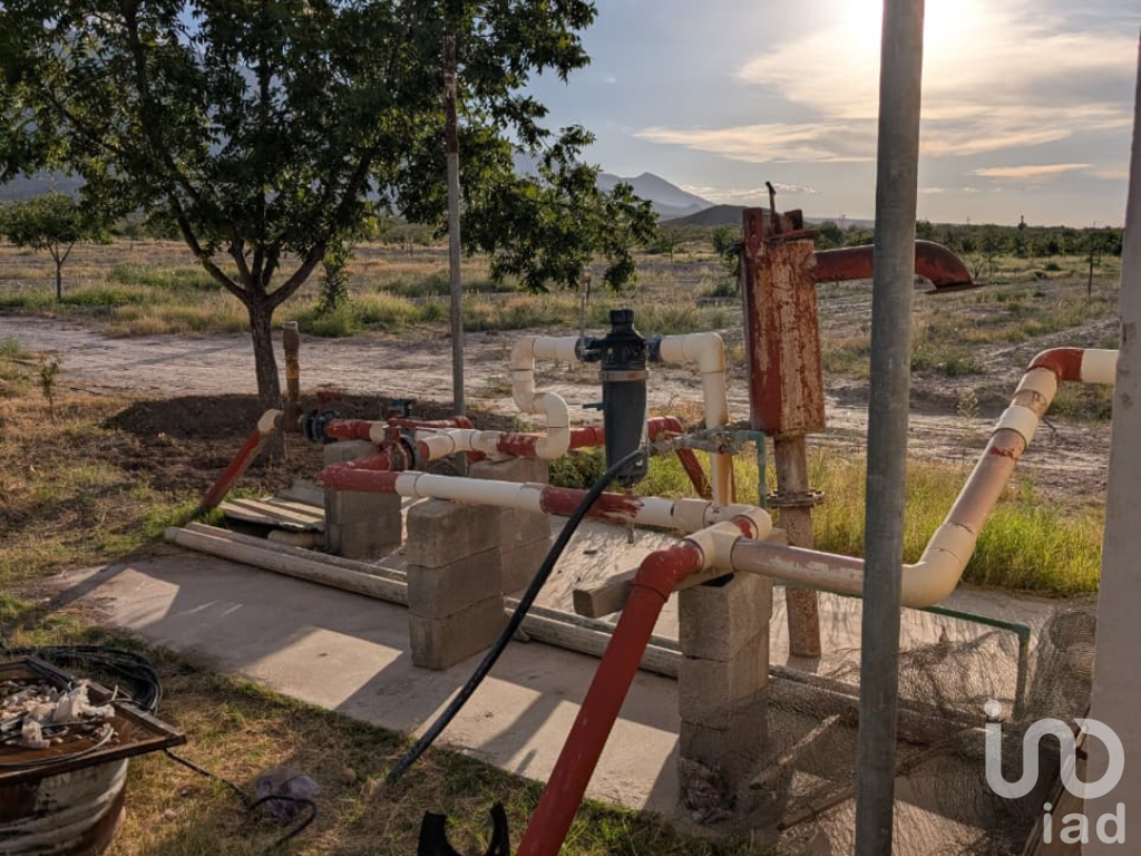Rancho en producción en Parras