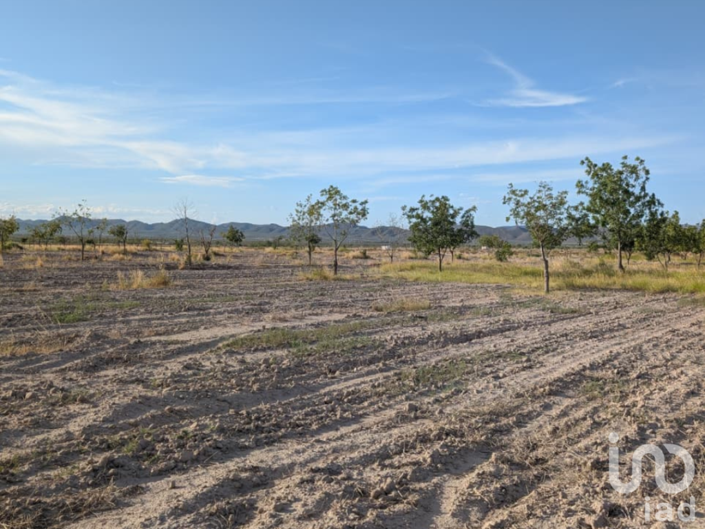 Rancho en producción en Parras