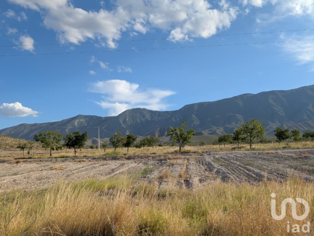 Rancho en producción en Parras