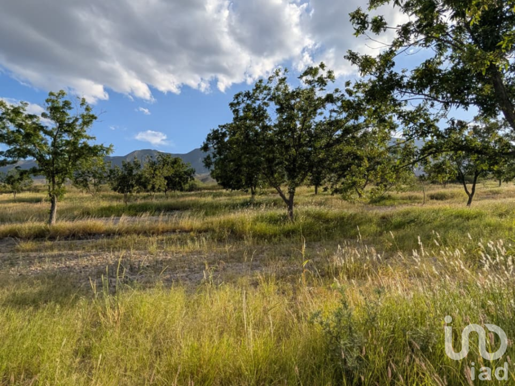 Rancho en producción en Parras
