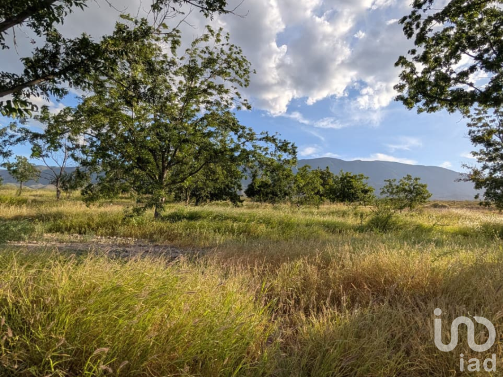 Rancho en producción en Parras