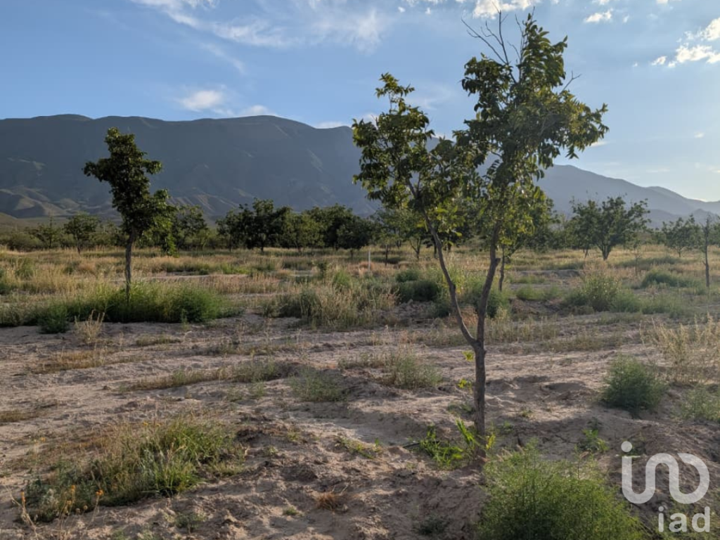 Rancho en producción en Parras