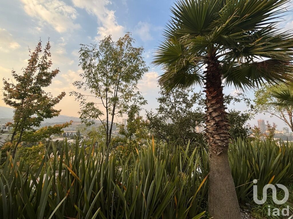 Se renta departamento en Bosque Real en el Condominio  Real del Marquez