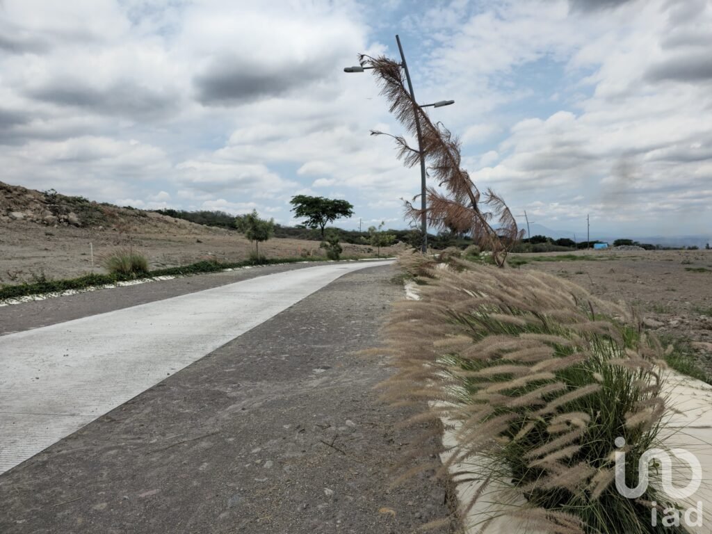 Terrenos en Preventa en Cuauhtemoc. Alta Plusvalía. Escriturables con servicios.