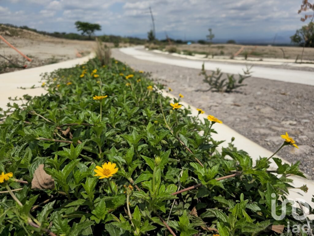 Terrenos en Preventa en Cuauhtemoc. Alta Plusvalía. Escriturables con servicios.