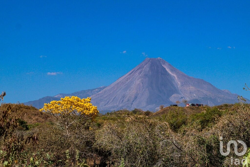 Terrenos en Preventa en Cuauhtemoc. Alta Plusvalía. Escriturables con servicios.