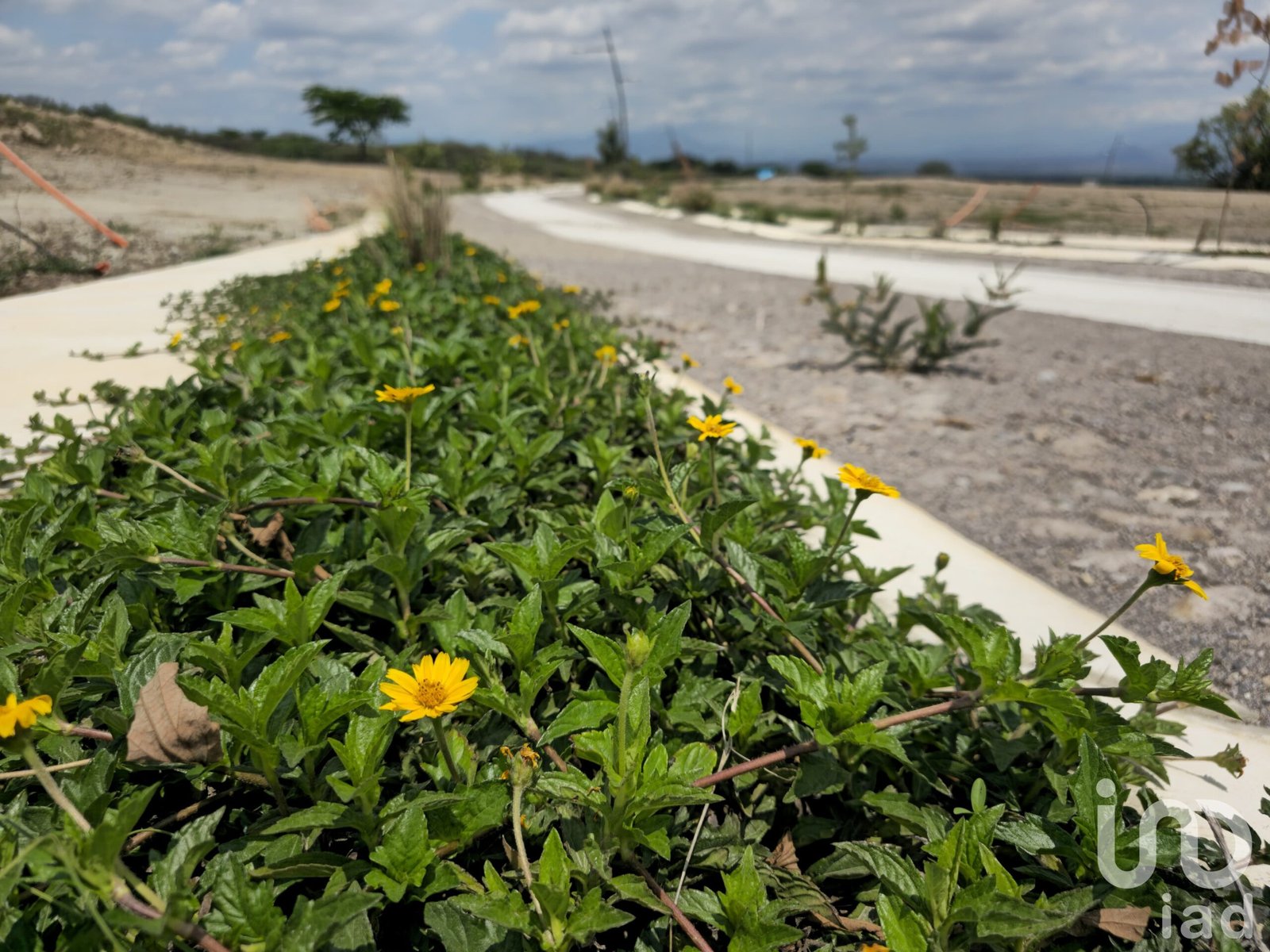 Terrenos en Preventa en Cuauhtemoc. Alta Plusvalía. Escriturables con servicios. Terrenos en Preventa en Cuauhtemoc. Alta Plusvalía. Escriturables con servicios.