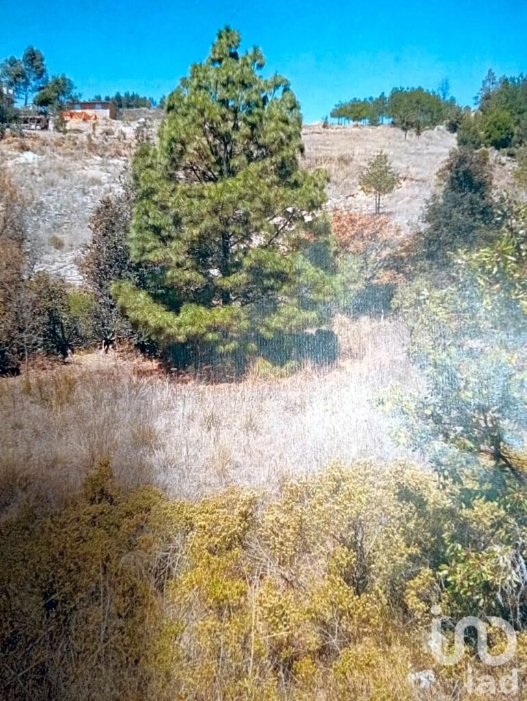 Ubicadísimo Terreno en Venta Hacienda La Purísima, Ixtlahuaca, Edo. Mex
