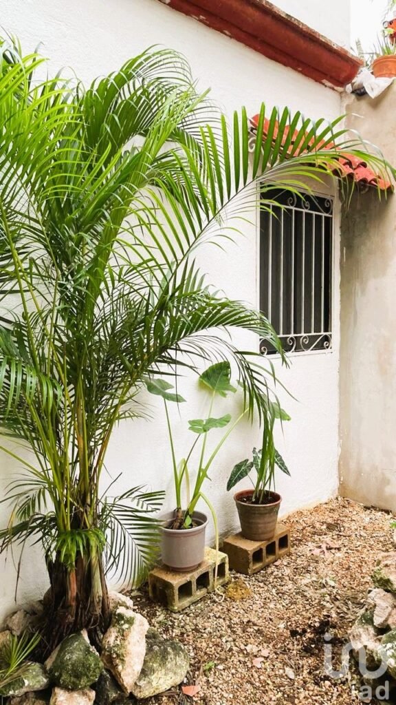Casa Familiar en venta gran ubicación!  Villas Tulum