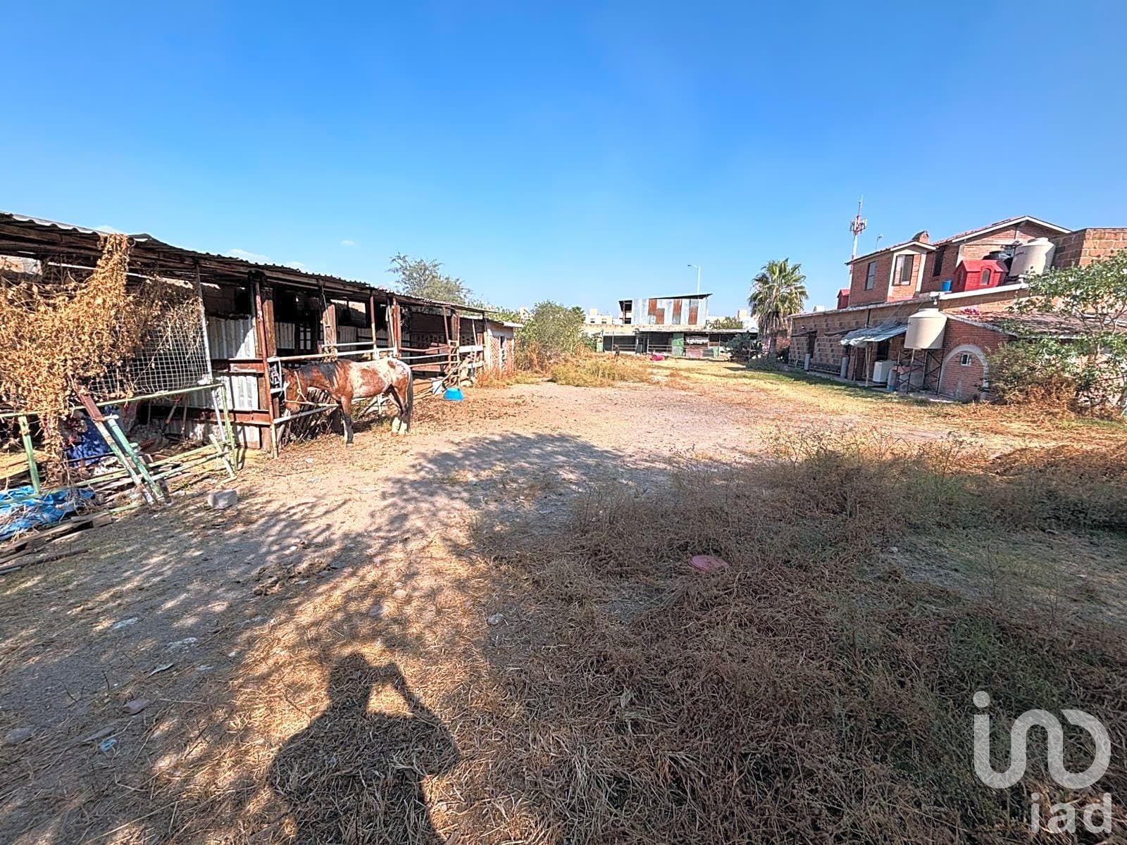 TERRENO EN VENTA EN CORREGIDORA QUERETARO ATRAS DEL FRAC. PUERTA REAL TERRENO EN VENTA EN CORREGIDORA QUERETARO ATRAS DEL FRAC. PUERTA REAL