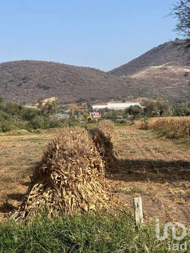 SE VENDE TERRENO EJIDAL EN EL CAMINO A SAN MIGUEL CUYUTLAN-SAN JUAN EVANGELISTA JALISCO