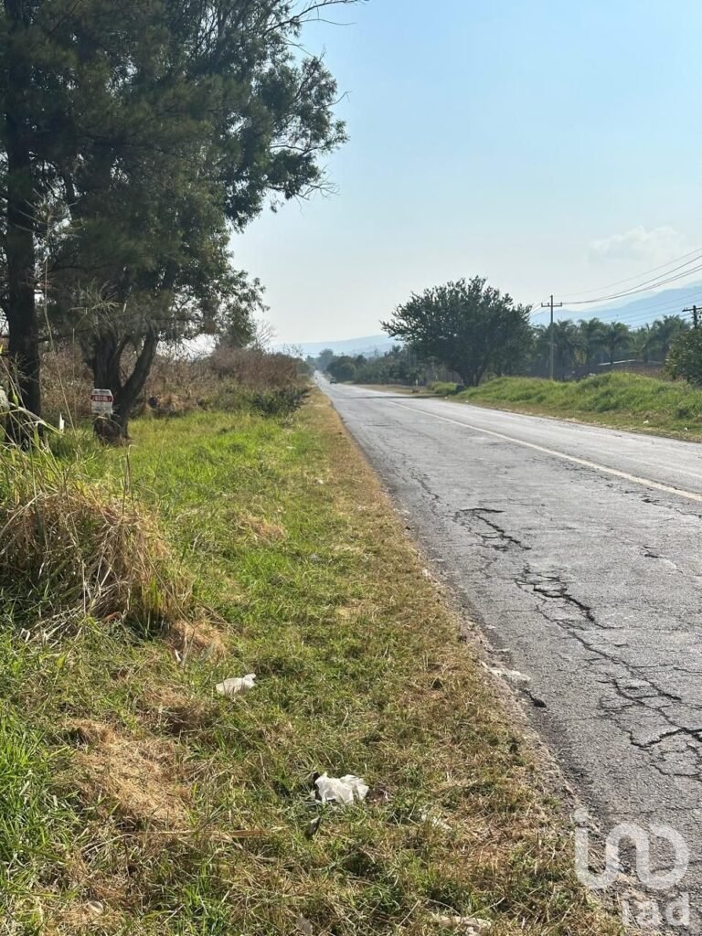 SE VENDE TERRENO EJIDAL EN EL CAMINO A SAN MIGUEL CUYUTLAN-SAN JUAN EVANGELISTA JALISCO