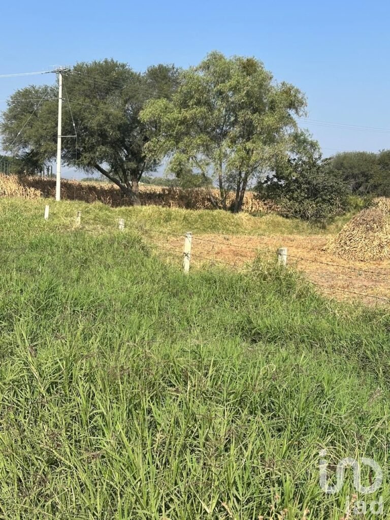 SE VENDE TERRENO EJIDAL EN EL CAMINO A SAN MIGUEL CUYUTLAN-SAN JUAN EVANGELISTA JALISCO
