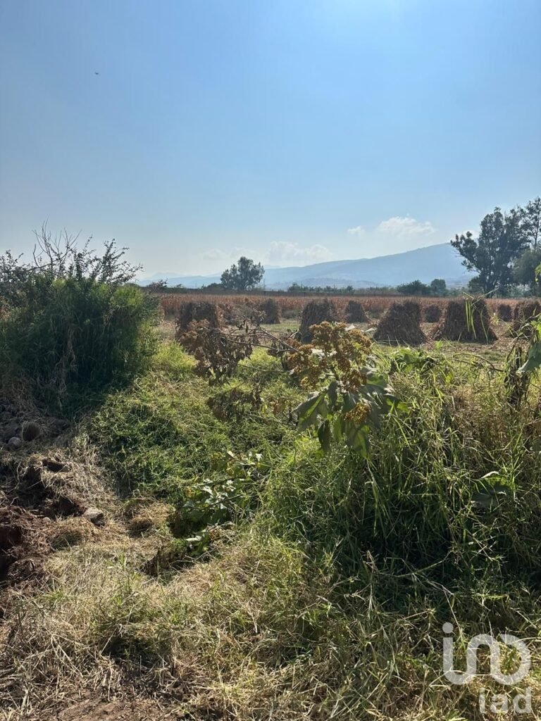 SE VENDE TERRENO EJIDAL EN EL CAMINO A SAN MIGUEL CUYUTLAN-SAN JUAN EVANGELISTA JALISCO