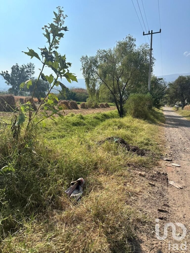 SE VENDE TERRENO EJIDAL EN EL CAMINO A SAN MIGUEL CUYUTLAN-SAN JUAN EVANGELISTA JALISCO