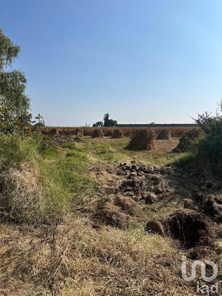 SE VENDE TERRENO EJIDAL EN EL CAMINO A SAN MIGUEL CUYUTLAN-SAN JUAN EVANGELISTA JALISCO