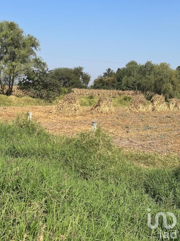 SE VENDE TERRENO EJIDAL EN EL CAMINO A SAN MIGUEL CUYUTLAN-SAN JUAN EVANGELISTA JALISCO