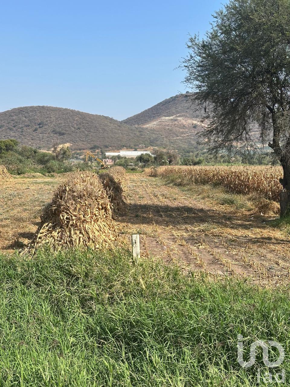 SE VENDE TERRENO EJIDAL EN EL CAMINO A SAN MIGUEL CUYUTLAN-SAN JUAN EVANGELISTA JALISCO