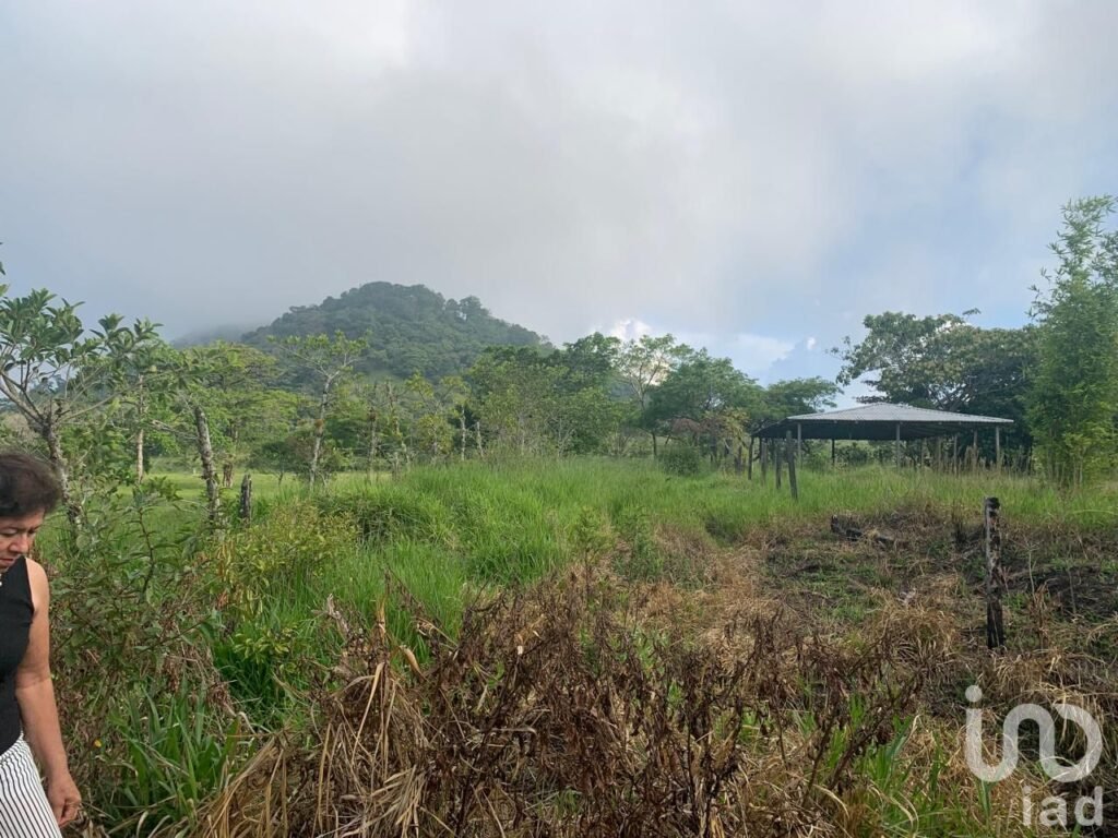 Terreno en venta, lote 4 manzana 30 zona 1 poblado Ruiz Cortinez, Mpio. San Andrés Tuxtla, Ver.