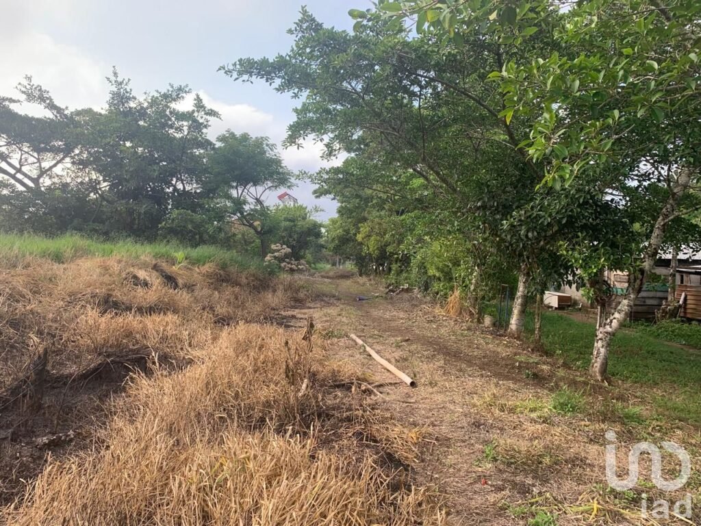 Terreno en venta, lote 4 manzana 30 zona 1 poblado Ruiz Cortinez, Mpio. San Andrés Tuxtla, Ver.