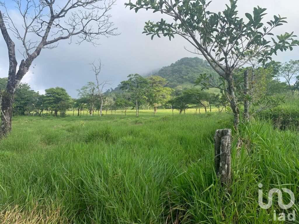Terreno en venta, lote 4 manzana 30 zona 1 poblado Ruiz Cortinez, Mpio. San Andrés Tuxtla, Ver.