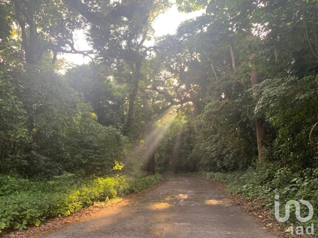 Terreno en venta, lote 4 manzana 30 zona 1 poblado Ruiz Cortinez, Mpio. San Andrés Tuxtla, Ver.