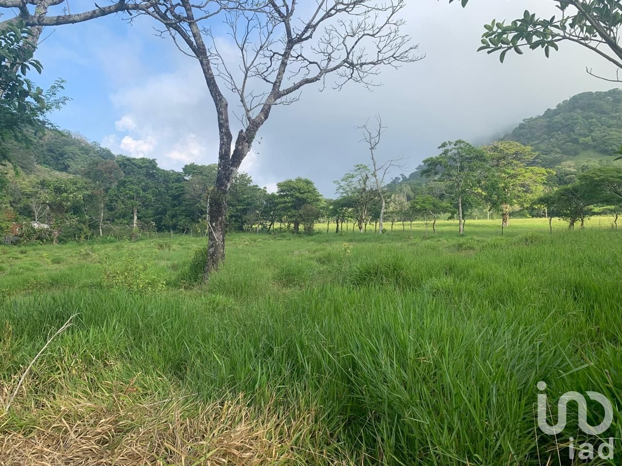 Terreno en venta, lote 4 manzana 30 zona 1 poblado Ruiz Cortinez, Mpio. San Andrés Tuxtla, Ver.