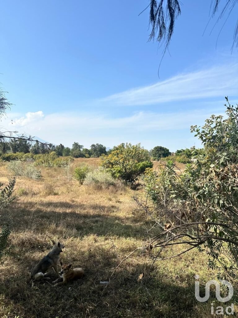 SE VENDE TERRENO A PIE DE CARRETERA ARENAL-TALA