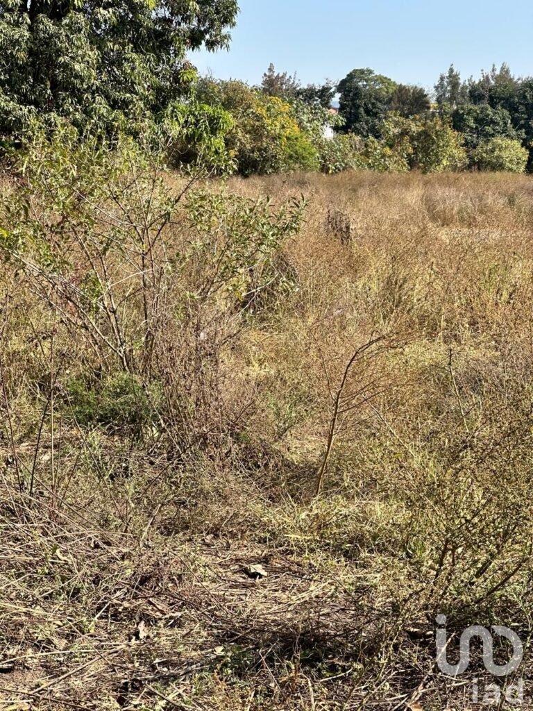 SE VENDE TERRENO A PIE DE CARRETERA ARENAL-TALA