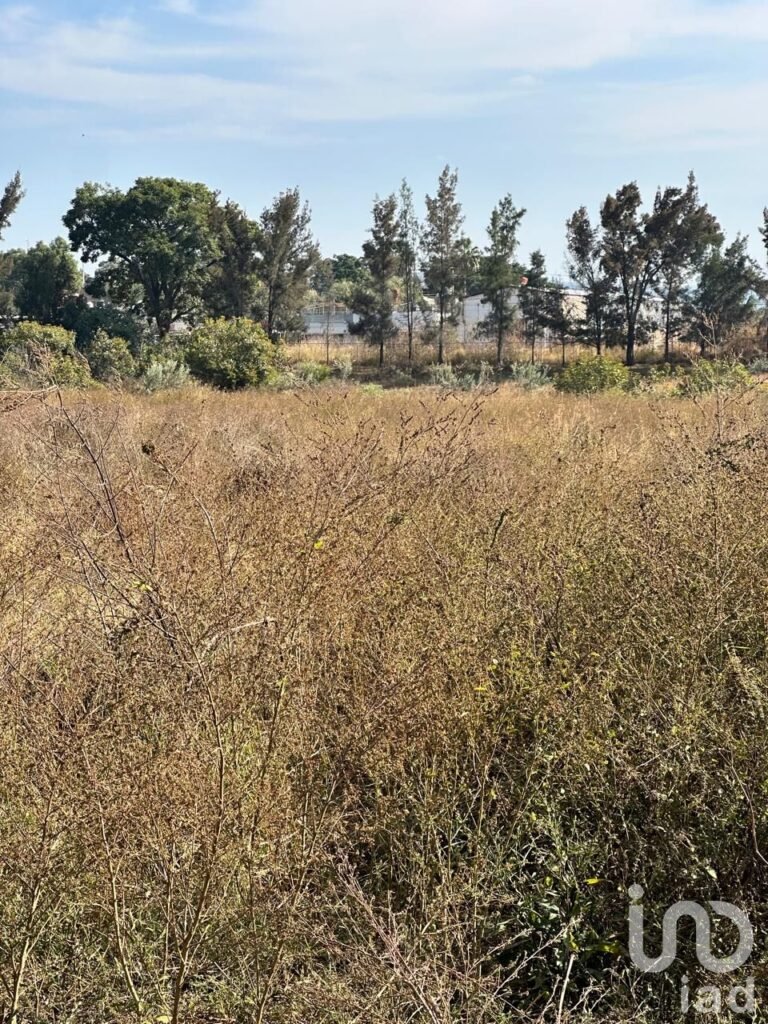 SE VENDE TERRENO A PIE DE CARRETERA ARENAL-TALA