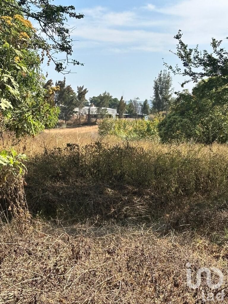 SE VENDE TERRENO A PIE DE CARRETERA ARENAL-TALA