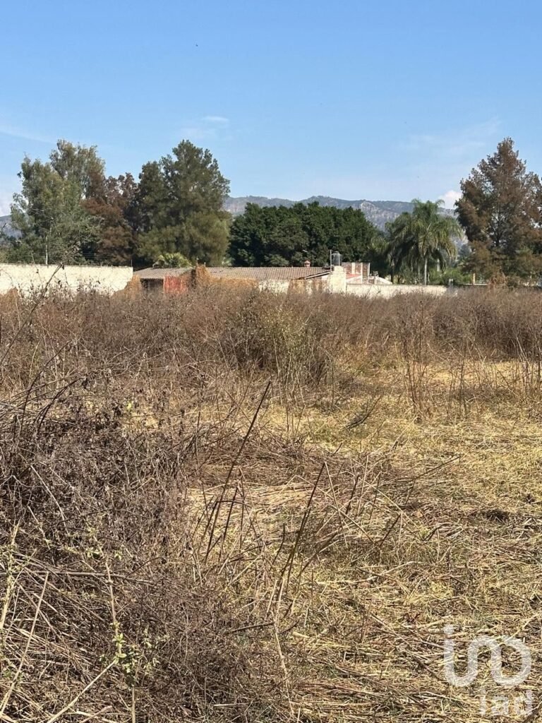 SE VENDE TERRENO A PIE DE CARRETERA ARENAL-TALA