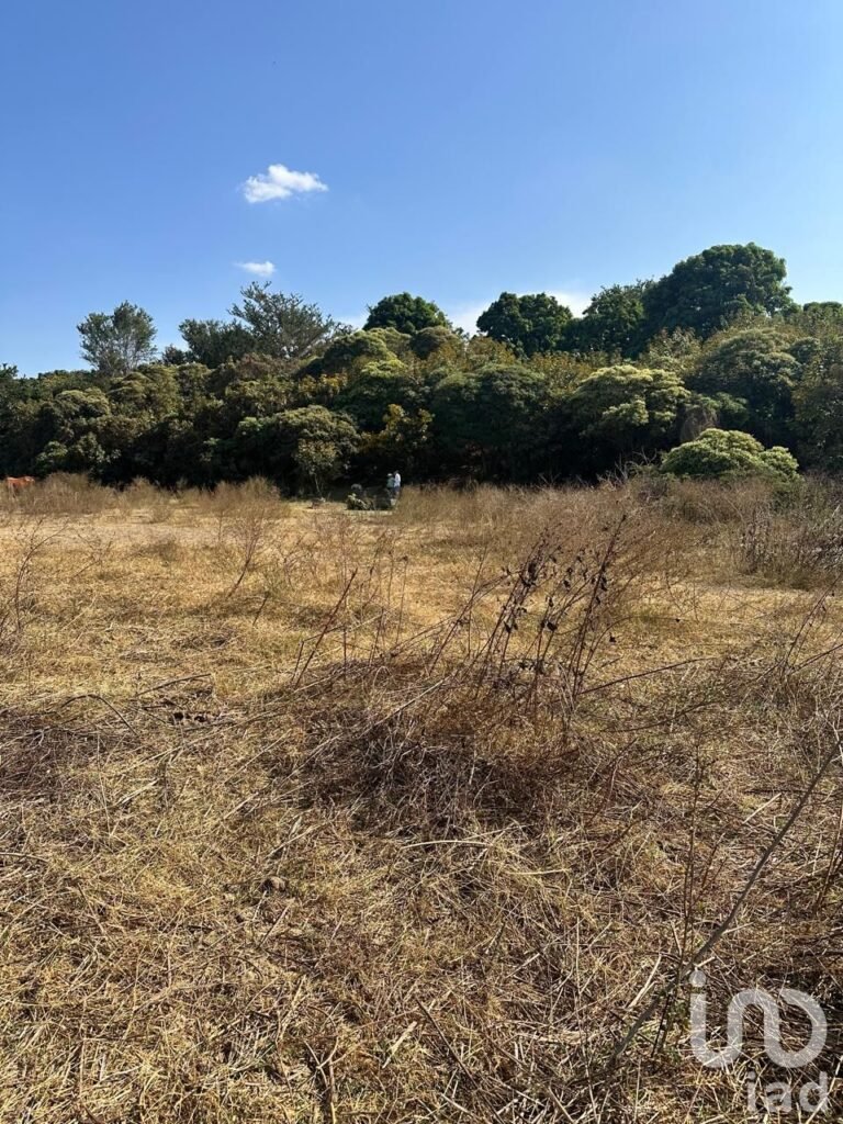 SE VENDE TERRENO A PIE DE CARRETERA ARENAL-TALA