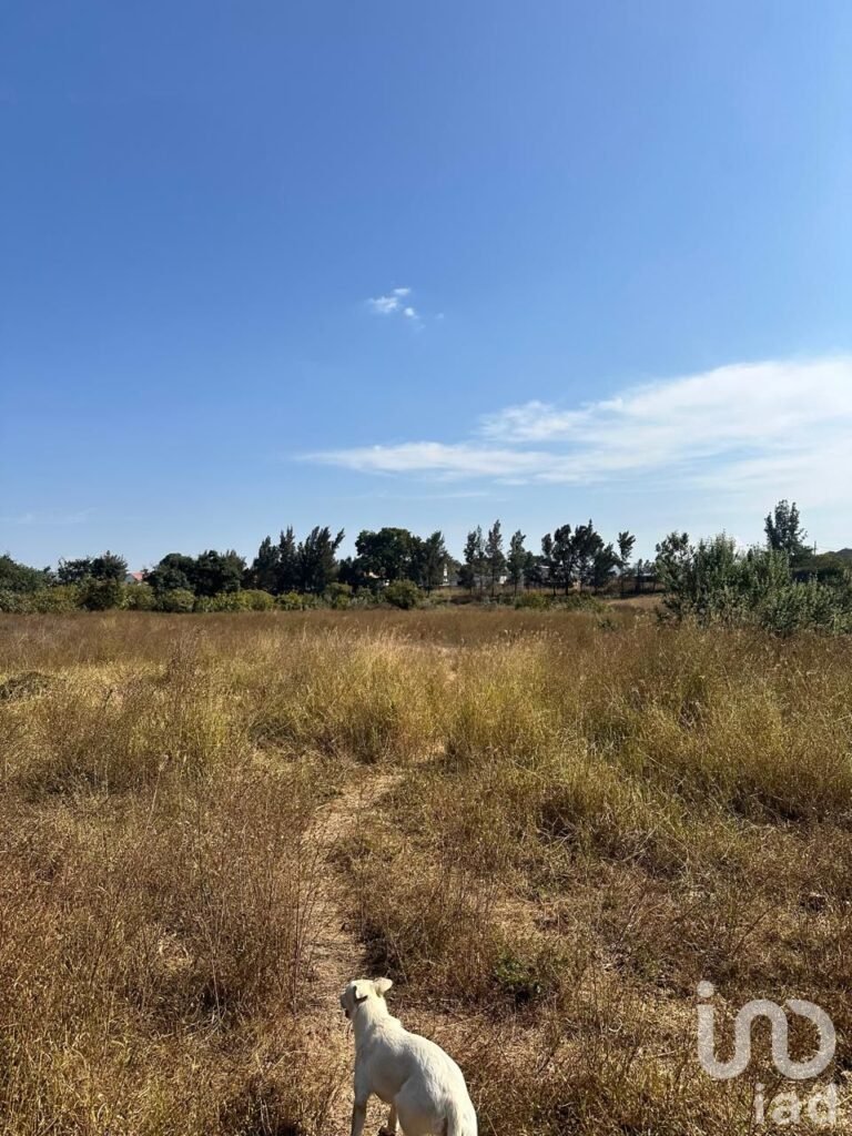 SE VENDE TERRENO A PIE DE CARRETERA ARENAL-TALA