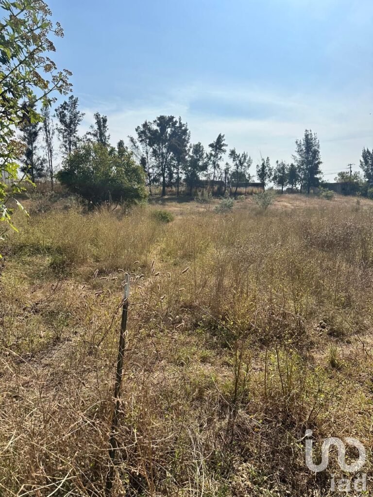 SE VENDE TERRENO A PIE DE CARRETERA ARENAL-TALA