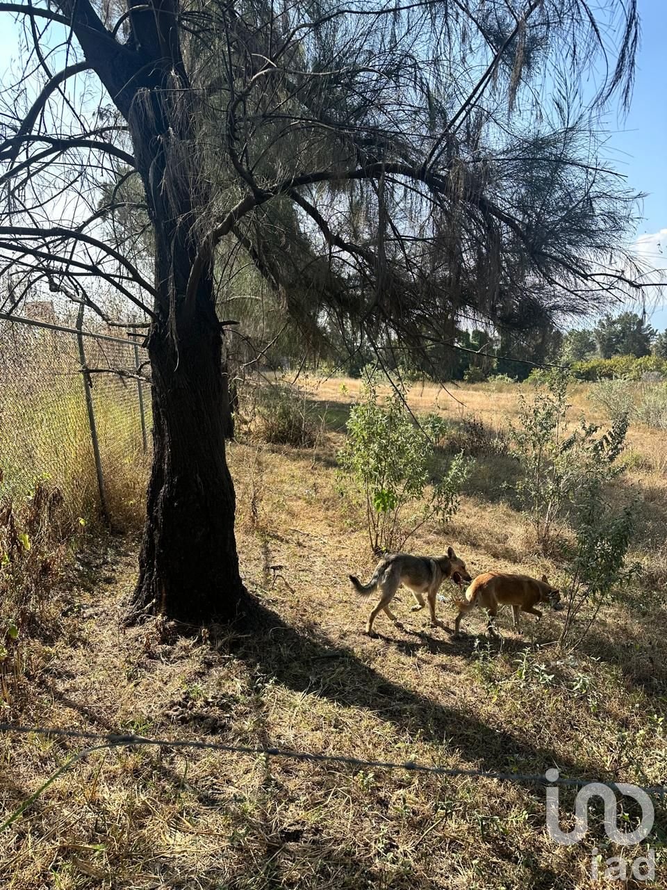 SE VENDE TERRENO A PIE DE CARRETERA ARENAL-TALA