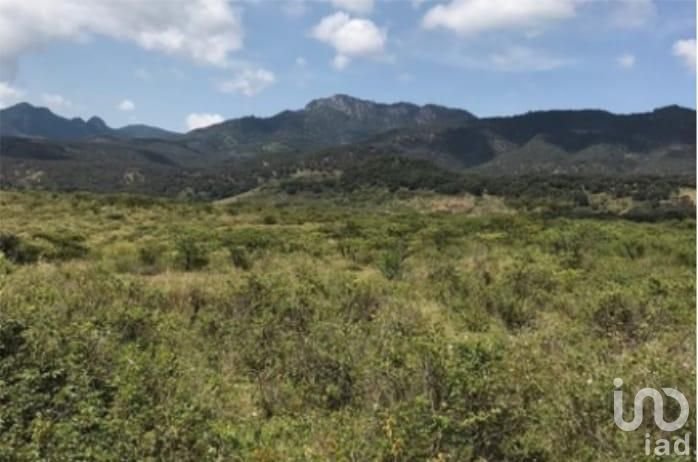 SE VENDE RANCHO GANADERO EL RODEO