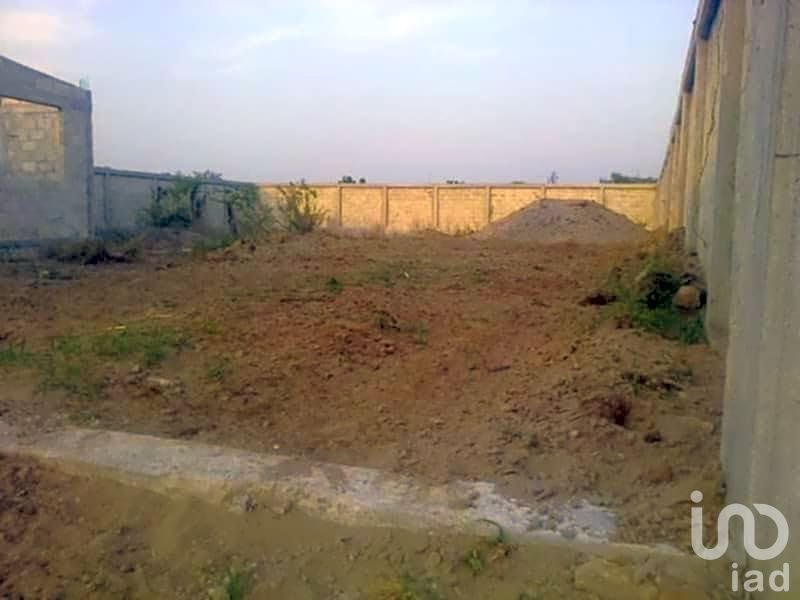 En venta terreno en Campestre Mata Loma