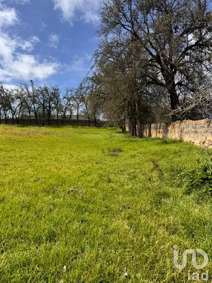 Terreno en Venta en Cruz Blanca, Villa Aldama, Veracruz