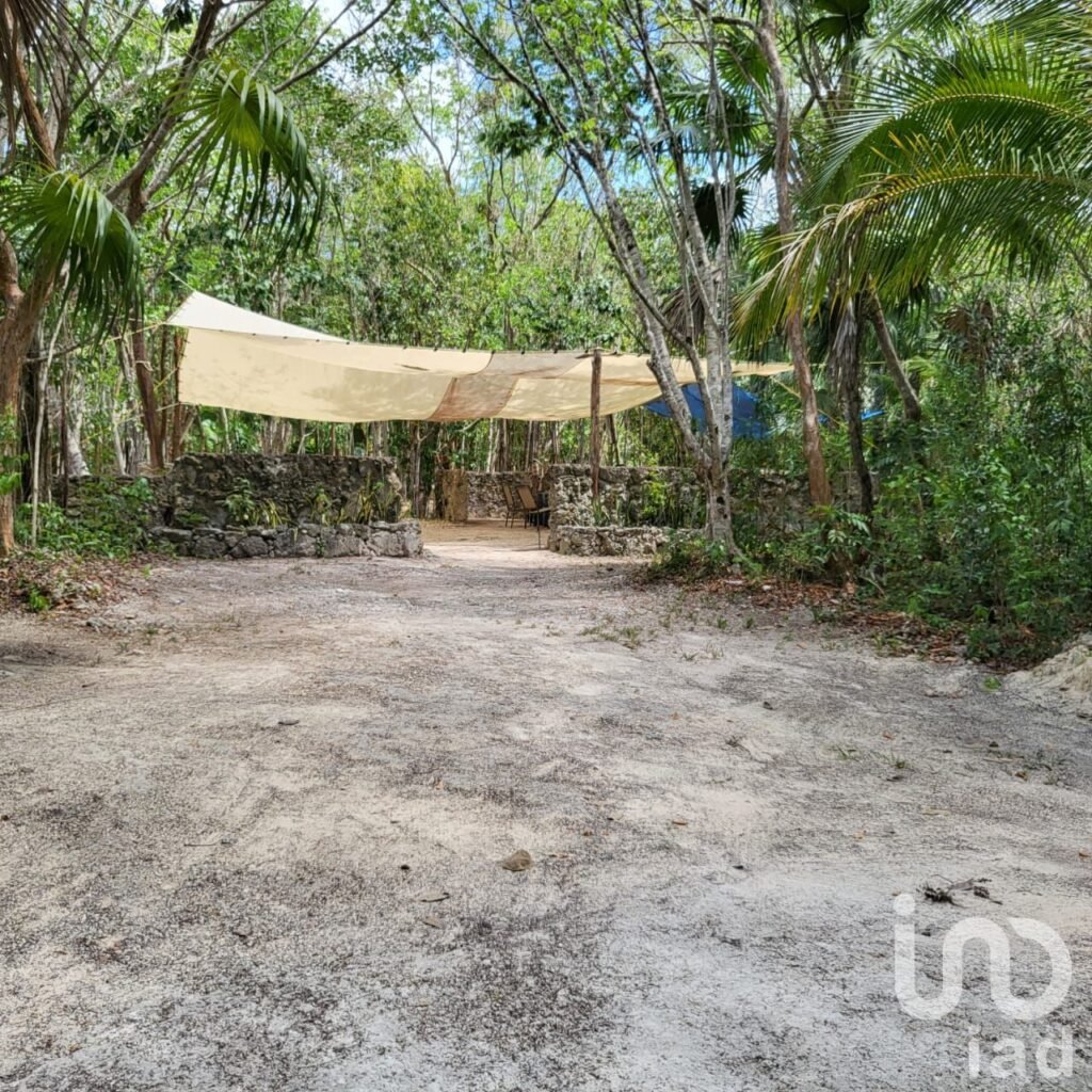 TERRENO CAMPESTRE EN VENTA OPORTUNIDAD DE INVERSIÓN LEONA VICARIO CANCUN