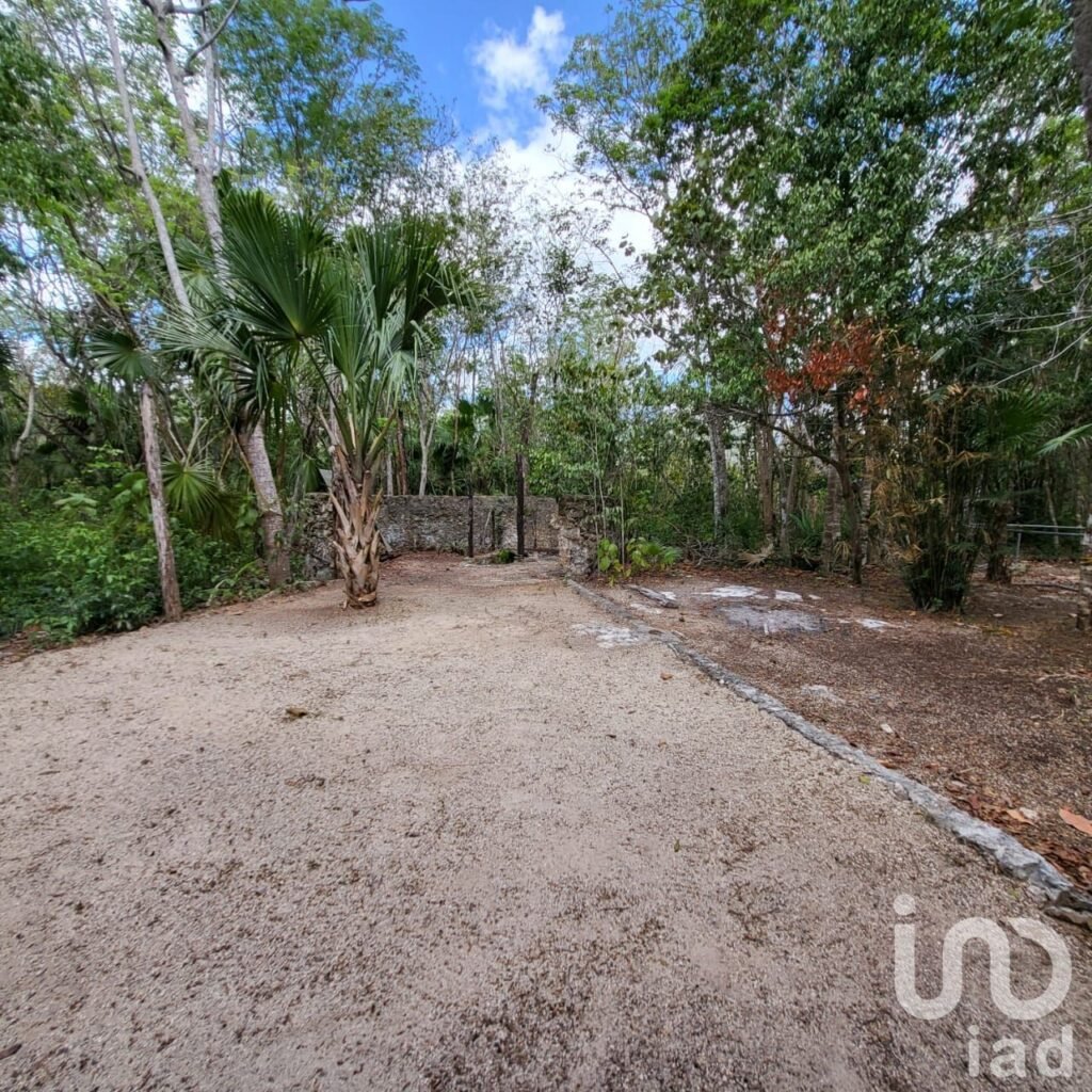 TERRENO CAMPESTRE EN VENTA OPORTUNIDAD DE INVERSIÓN LEONA VICARIO CANCUN